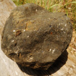A close up of a lamprophyre cobble on the bank of a river