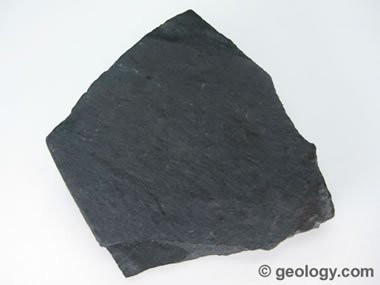 Close-up of shale rock showing its layered structure and potential for preserving detailed fossils.