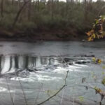How To Make A Fish Trap With Rocks: A Complete Guide?