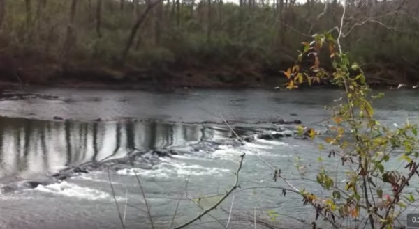 How To Make A Fish Trap With Rocks: A Complete Guide?