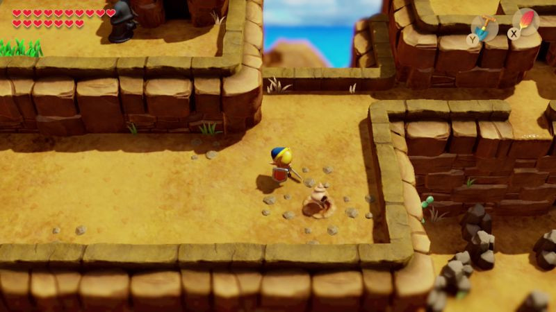 Secret Seashell Location