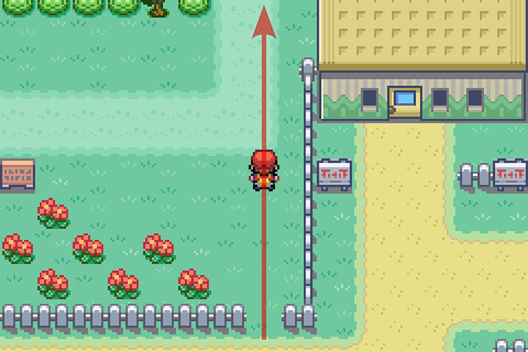 Going North after cutting the tree on the way to getting Rock Smash in Pokemon Radical Red