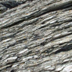 Pebbles in quartzite deformed by directed stress