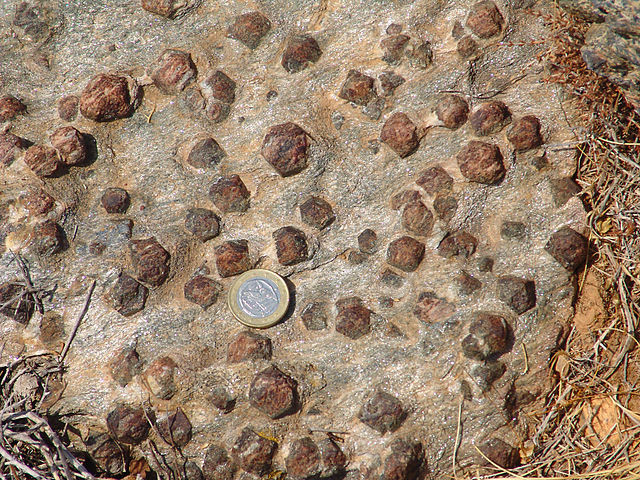 Garnet Schist showing large weathered garnet crystals