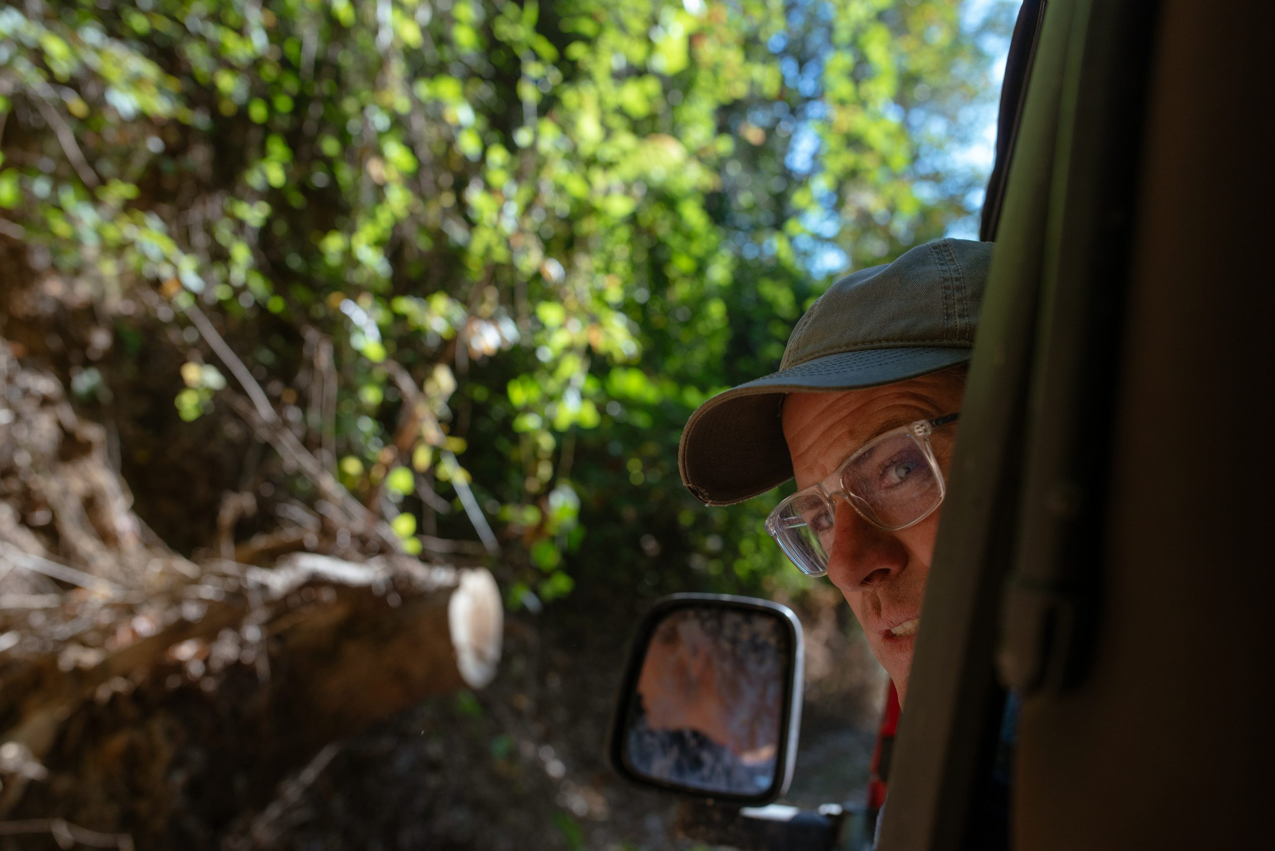 man in glasses looks out of truck window with fallen tree in the background