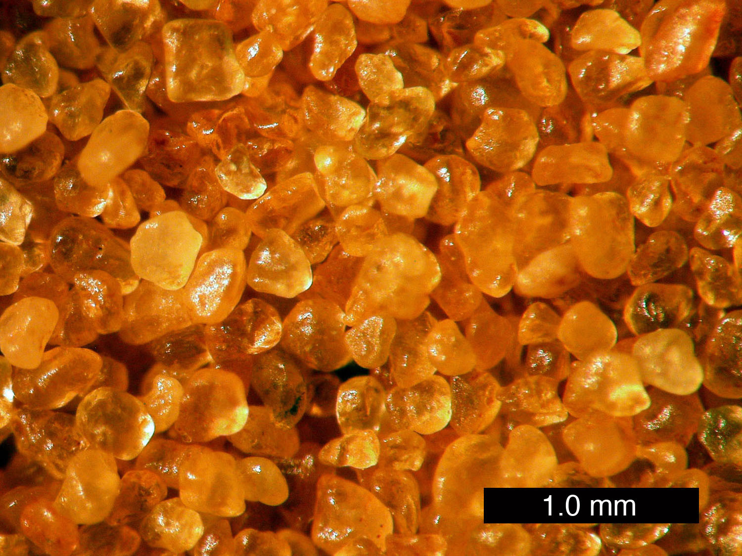 Windblown sand grains that are enlarged showing rounding and frosted surfaces as a result of wind transport