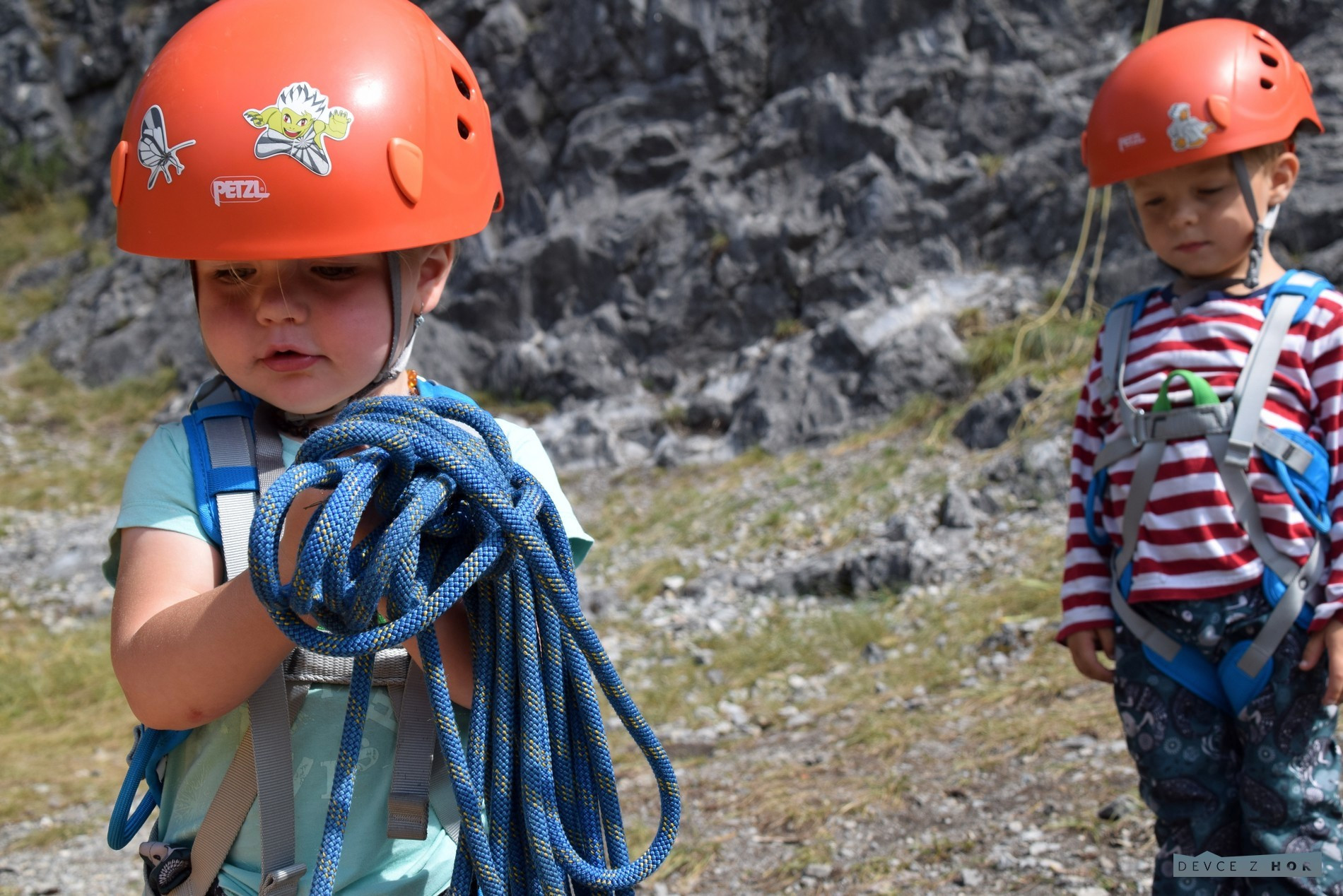 Kids are practicing and learning how to climb the walls at the safe enviroment