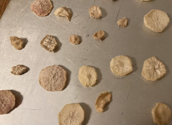 Oven Dried Radish