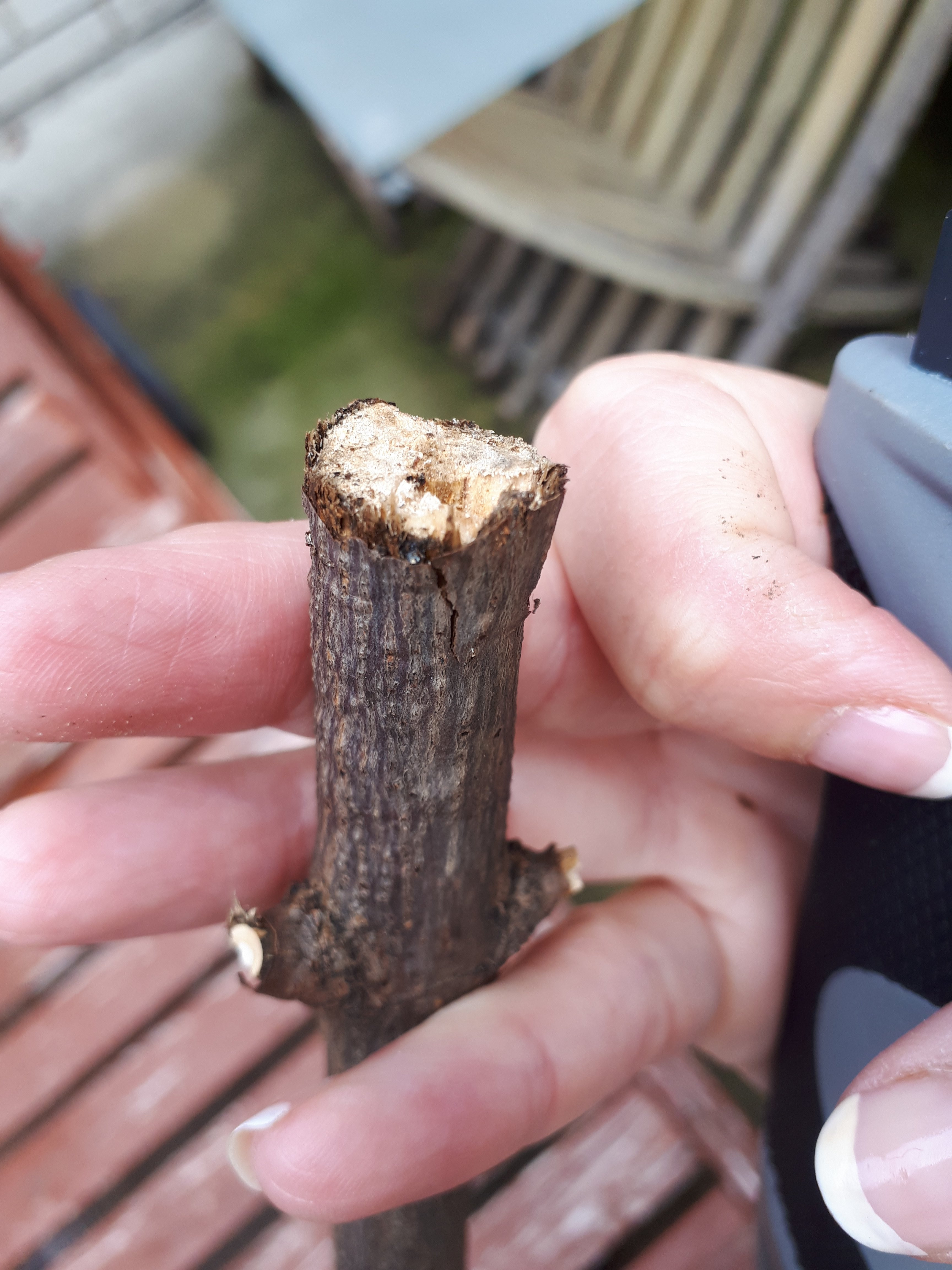 Cut the end of the stick so it’s flat