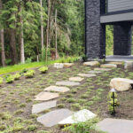Lava rocks in a garden setting, showcasing their porous texture and reddish-brown color Lava rocks not poisonous to dogs but need caution