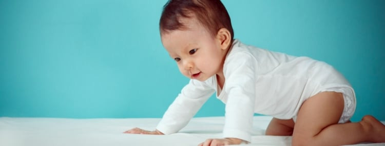 Baby rocking back and forth on all fours