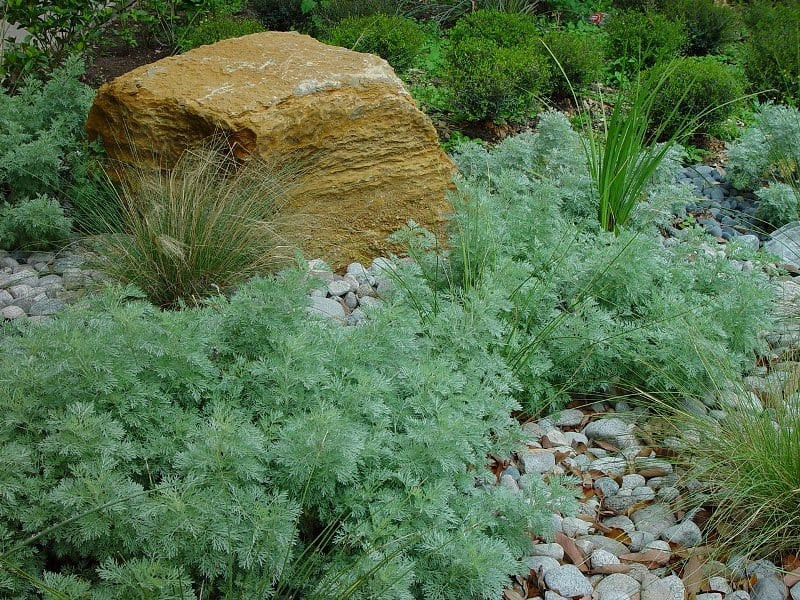 Large Rock in Garden Bed