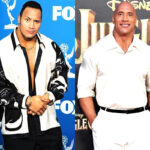 dwayne johnson