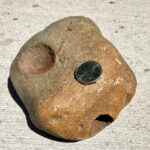 Omarolluk Formation rock with quarter for scale