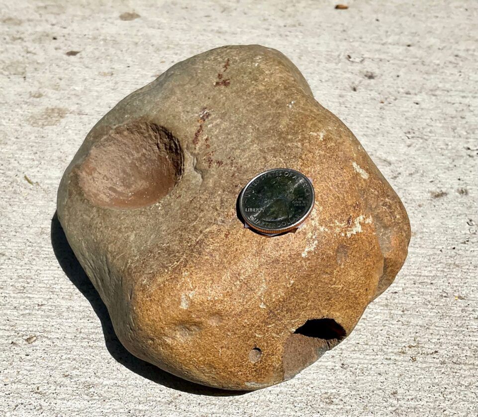 Omarolluk Formation rock with quarter for scale