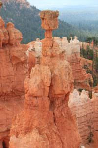 Thor's Hammer hoodoo in Bryce Canyon National Park, showcasing its unique hammerhead shape