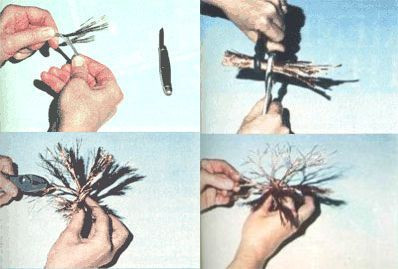 Wire twisted into tree-like branches.