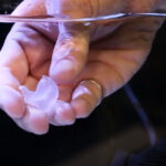 Super Glue Gel being used underwater
