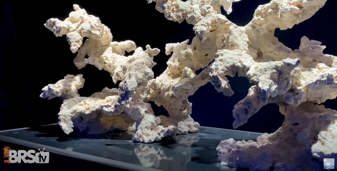 NSA Negative Space Aquascape example