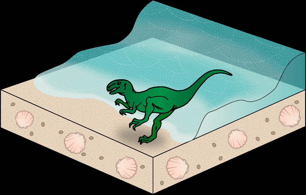 Fossil dinosaur buried by sand 75 million years ago