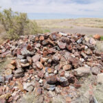 Conscience pile at Petrified Forest National Park, showcasing returned rocks and letters from remorseful visitors
