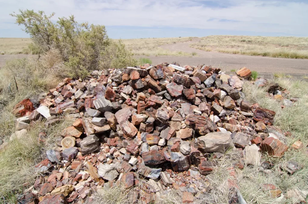 Conscience pile at Petrified Forest National Park, showcasing returned rocks and letters from remorseful visitors