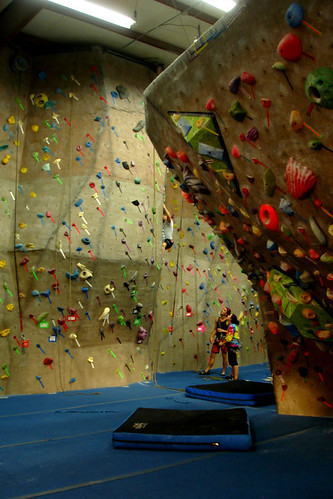 Diverse climbing walls at Triangle Rock Club offering various challenges