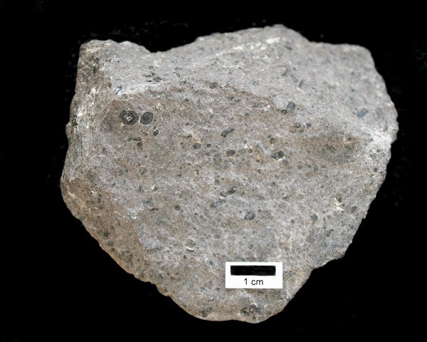 Grey rock with fine crystals and black phenocrysts