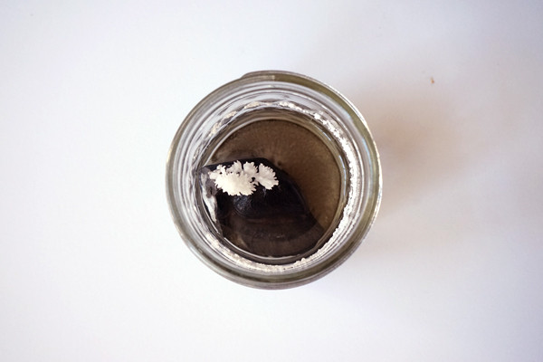 Aragonite Crystals after 5 days