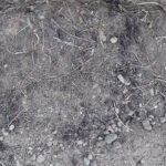 Manual soil sifting using a soil sieve
