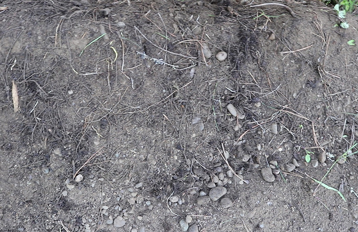 Manual soil sifting using a soil sieve