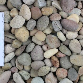 Assorted pebbles adding charm to a garden bed