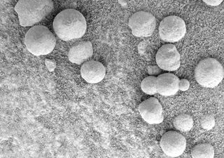 Microscopic sphere-like grains, or &quot;blueberries,&quot; found on Mars, illustrating metal concretion in extraterrestrial environments