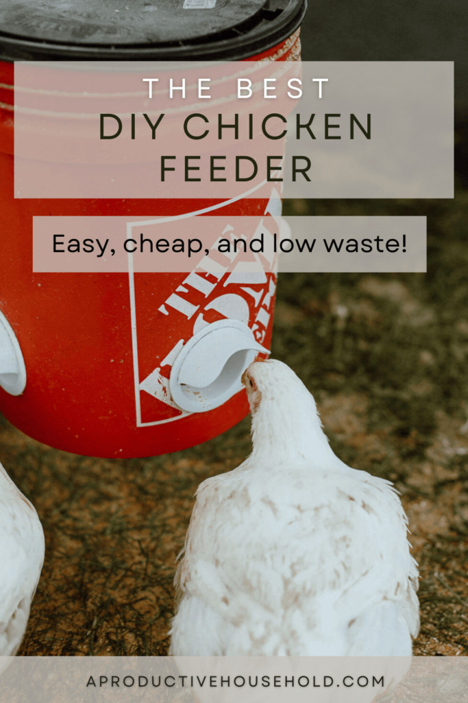 best diy chicken feeder pinterest