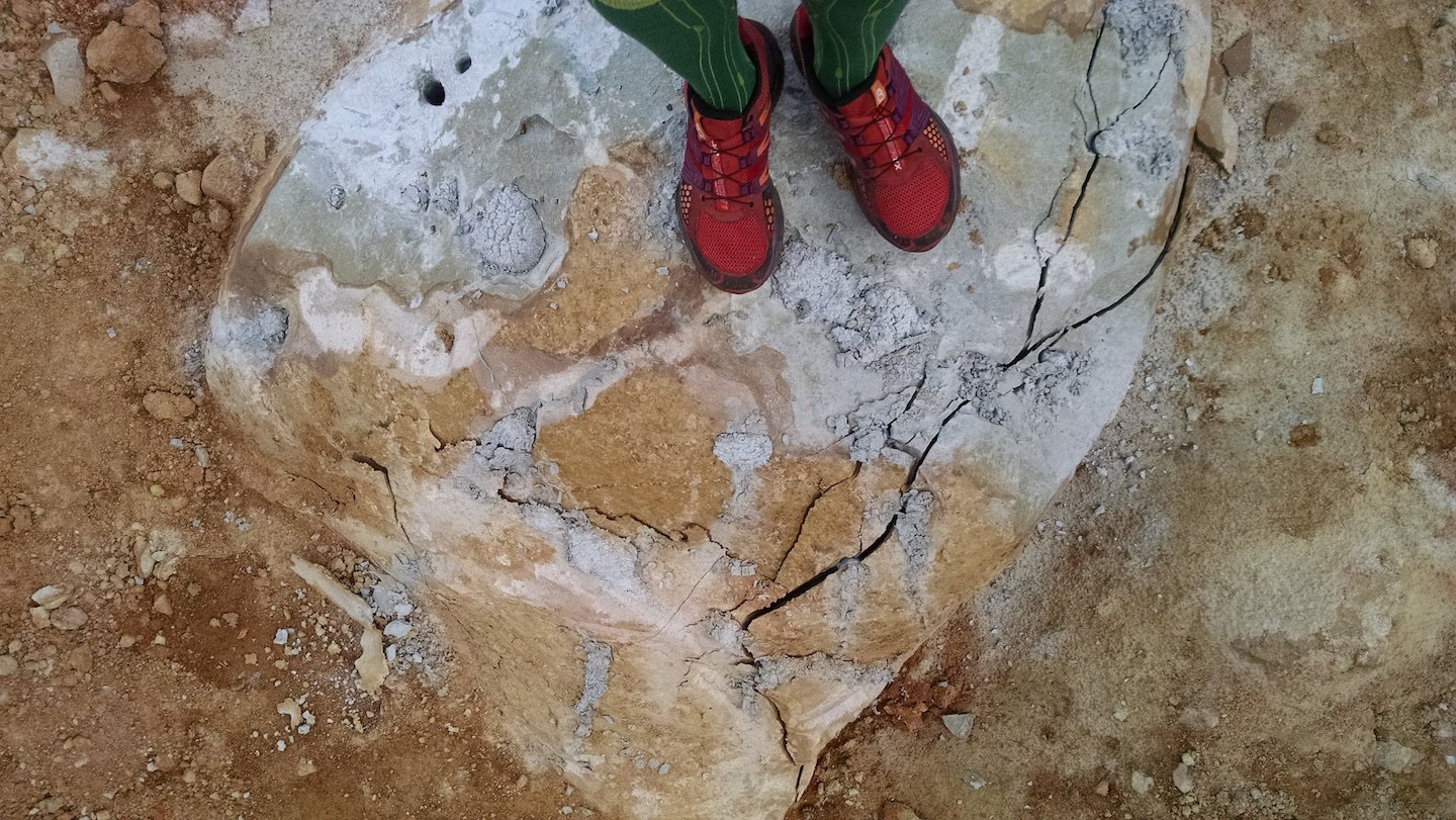 Different rocks with shades of blue, gray, and rust.