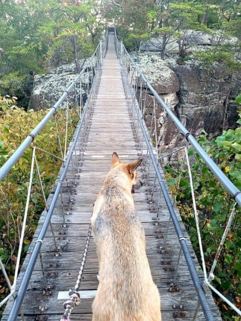 Suspension Bridge at Rock City Gardens