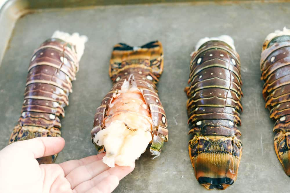 Preparing rock lobster tails by butterflying them with kitchen shears