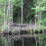 Preparing the Ground for a Rock Waterfall with Pond Liner Installation