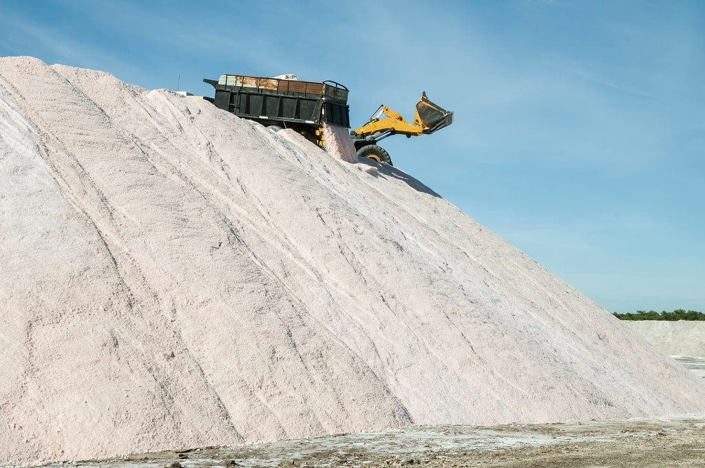 bulk rock salt price per ton