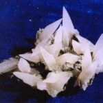 Sedimentary Rock