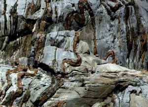 Chert (brown layers) interbedded with Triassic Quatsino Fm. limestone on Quadra Island, B.C. All of the layers have been folded, and the chert, being insoluble and harder than limestone, stands out.