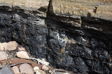 Coal seam near Fife, Scotland, originally a layer of sediment rich in organic carbon.