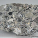 Conglomerate specimen with chert and limestone clasts