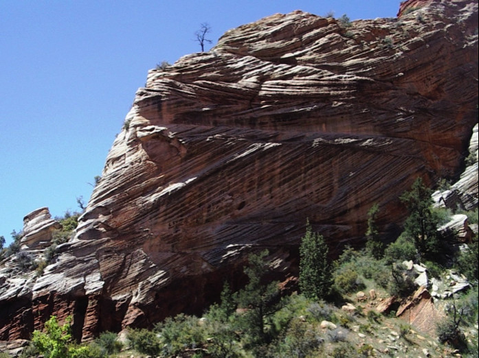 Sedimentary rock displays the principle of inclusions.