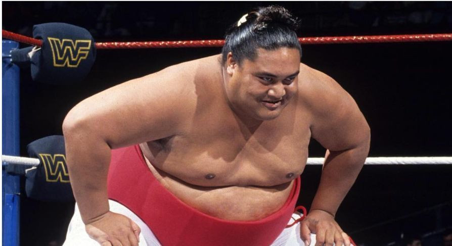 The Usos, Jimmy and Jey, stand side-by-side in a wrestling ring, arms raised in victory, showcasing their unity and athletic prowess as a celebrated tag team
