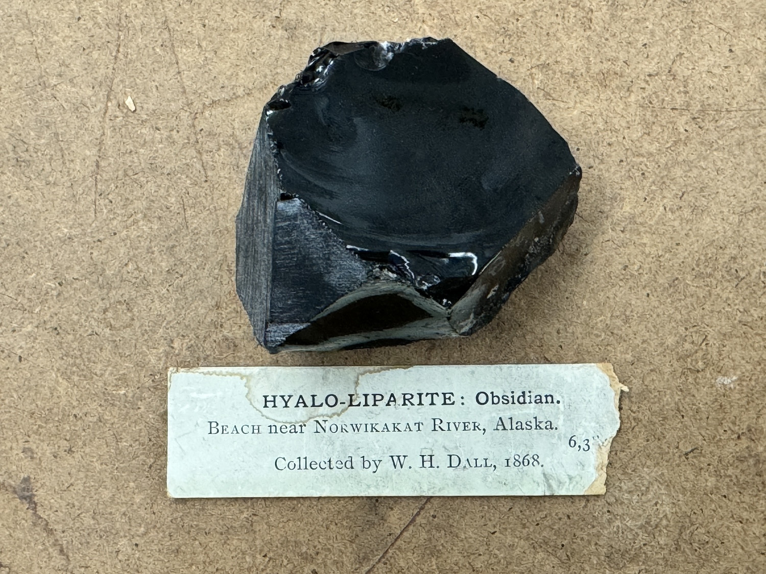 Black obsidian rock, shiny and reflective, displayed on a textured fiberboard surface with a vintage museum label.
