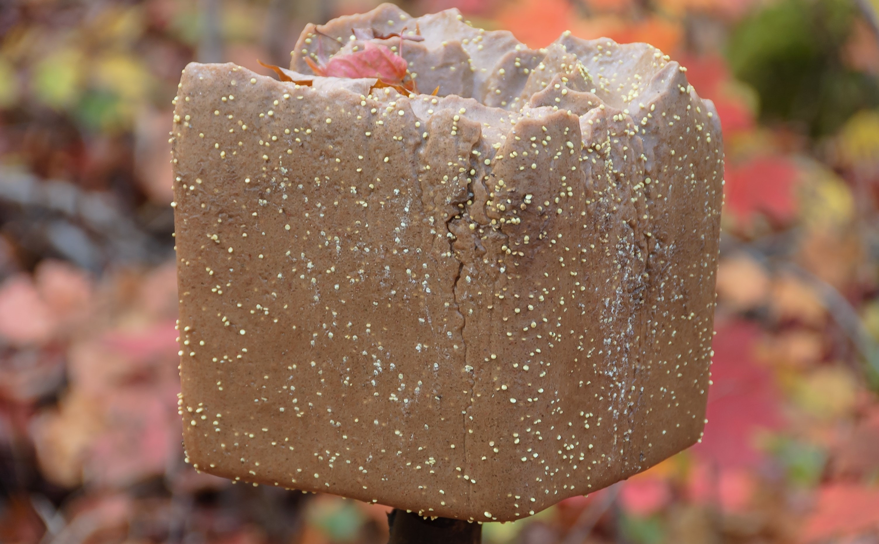 mineral block for deer