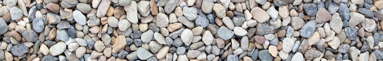 Rock pathway amidst green plants, "Elevate your garden's appeal with a stunning rock pathway, seamlessly blending natural beauty and functionality. Cleanliness is key to maintaining its allure."
