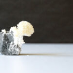 Dolomite rock and aragonite crystal