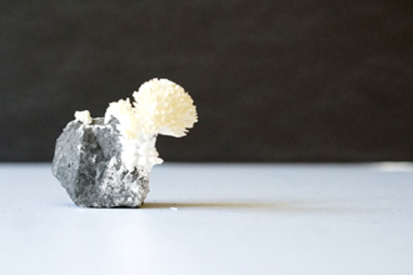 Dolomite rock and aragonite crystal